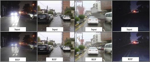 BAGHDAD-ADS paired input and reference samples
